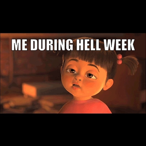 Meet your Posher, Paul - Picture 1 of 1